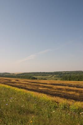 CRW_2536.jpg
