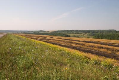 CRW_2537.jpg