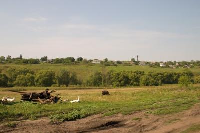 CRW_2594.jpg