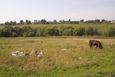 CRW_2602.jpg