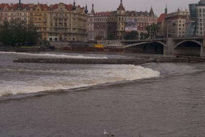 CRW_3350.jpg