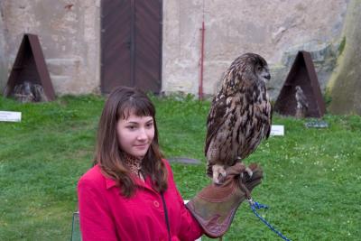 CRW_3580.jpg