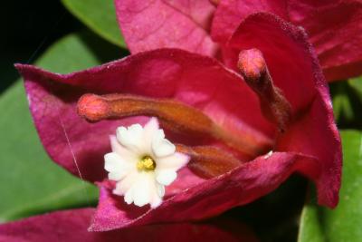 IMG_2158m.JPG