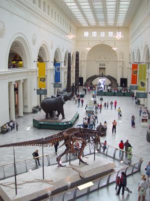 Main hall at the Field Museum of Natural History