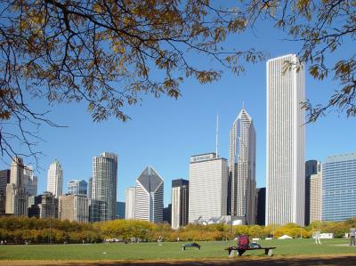 View of downtown Chicago