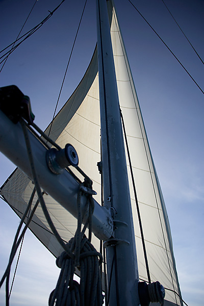 _G2F1082.jpg