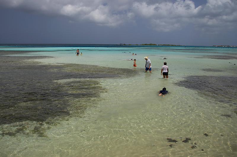 _G2F0268.jpg