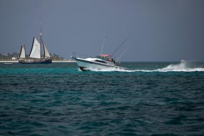_G2F9665.jpg