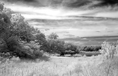 DSC_3947.jpg