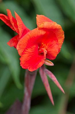 DSC_4442.jpg