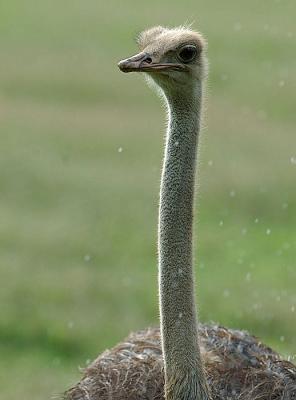 DSC_4555.jpg