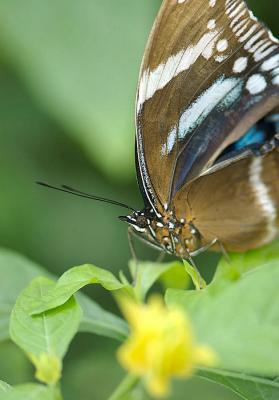 DSC_5022.jpg