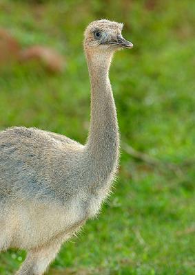 DSC_5078.jpg