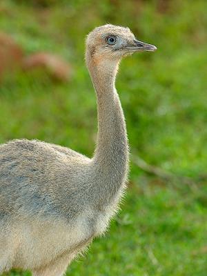 DSC_5079.jpg