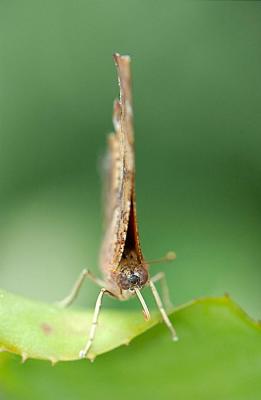 DSC_0034.jpg