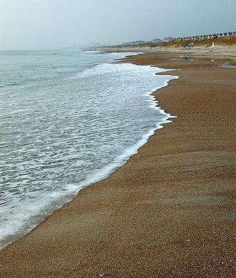 DSC_5484.jpg