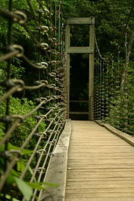RC Bridge.jpg