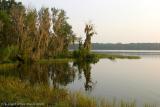 36519 - Lakeview at Paynes Prarie