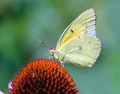 July-D70-082-copy.jpg