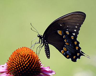 July-D70-118-copy.jpg