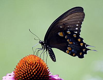 July-D70-121-copy.jpg