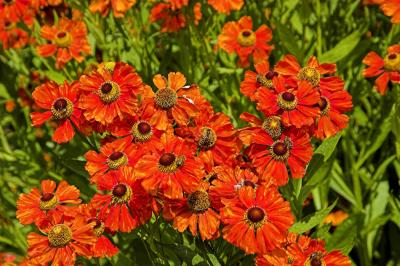 IMG_1625-01x.jpg