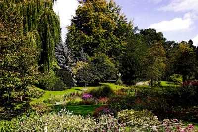 IMG_1629-01x.jpg