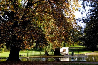 IMG_3093 x Autumn # 6.jpg