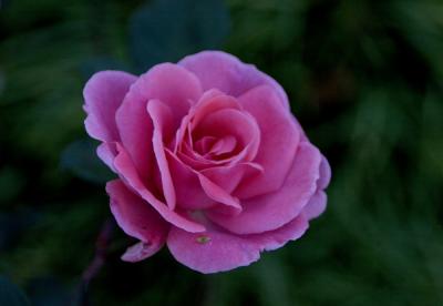 IMG_3113 x Autumn # 15.jpg