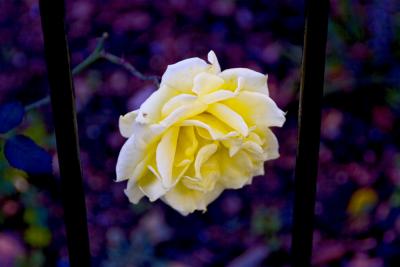 IMG_3114 x Autumn #16.jpg
