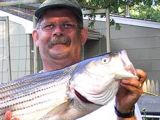 Fishing highlights, 2005