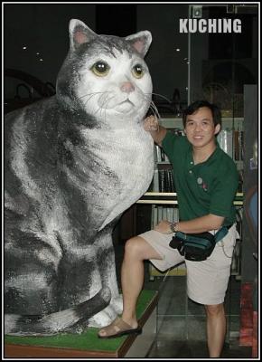 Dscn3991.jpg