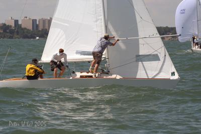 IMG_0247_1.JPG