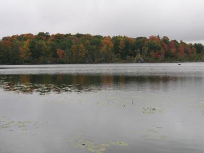 IMG_3575s.jpg