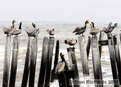 galvestontx_i9e7898-04_std.jpg