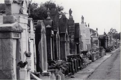 Row 2.jpg