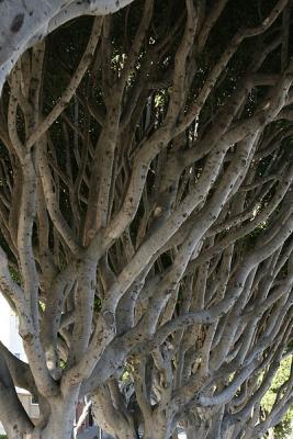 IMG_7604-r.jpg