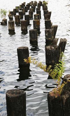 IMG_7725-r.jpg