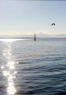 IMG_0886-r.jpg