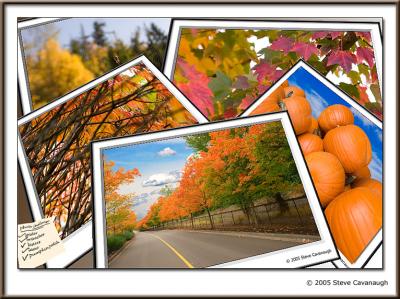 Autumn 2005
