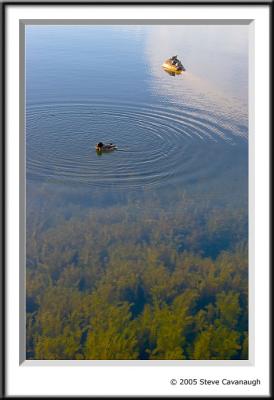 IMG_2280-r.jpg