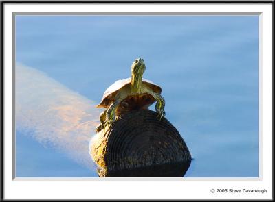 IMG_2307-r.jpg
