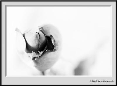 IMG_2575-r.jpg