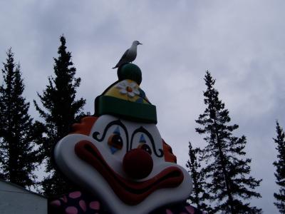 Coal Mine Campground Clown with sea gull