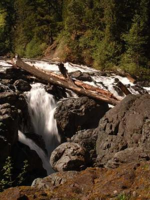 Englishman River Falls.jpg