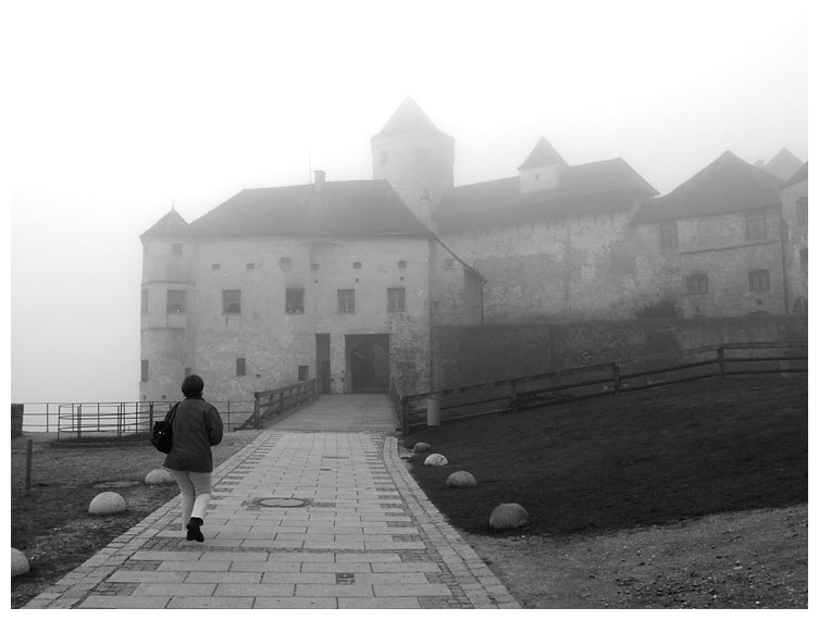Into the castle in the mist III