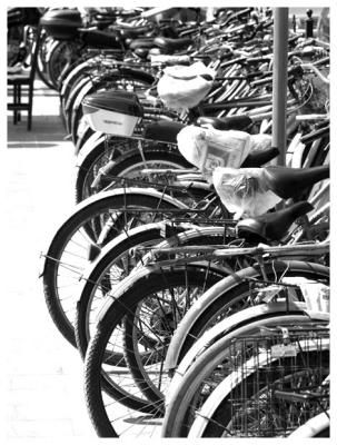 Kingdom of Bicycles