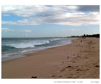 Scarborough Beach