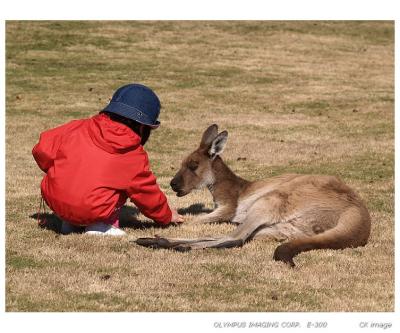 Feeding one by one