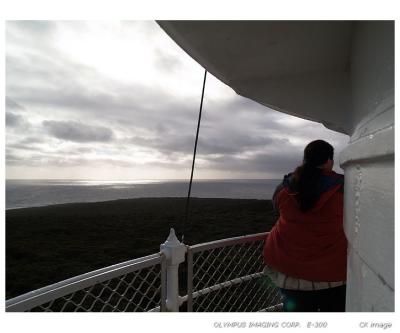 View from the lighthouse